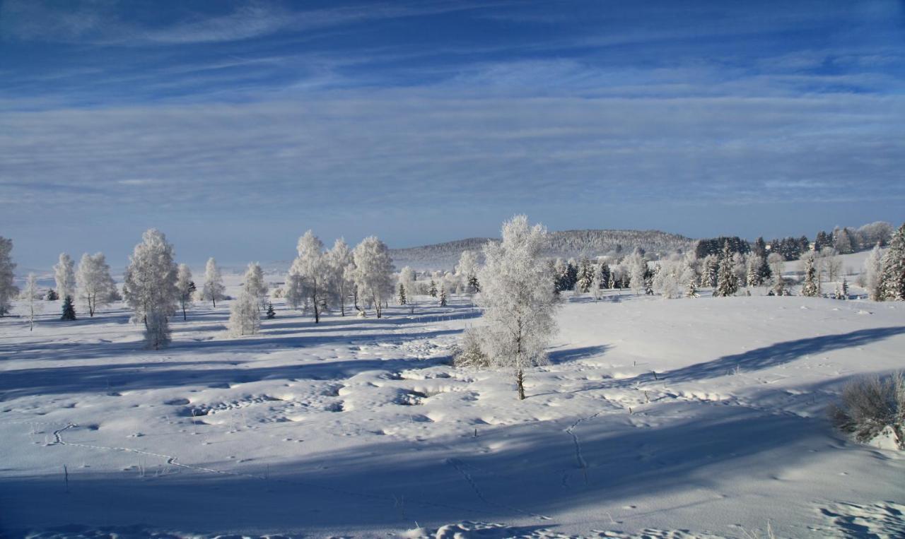 Вилла Le Refuge Des Marmottes Saint-Laurent-du-Jura Экстерьер фото